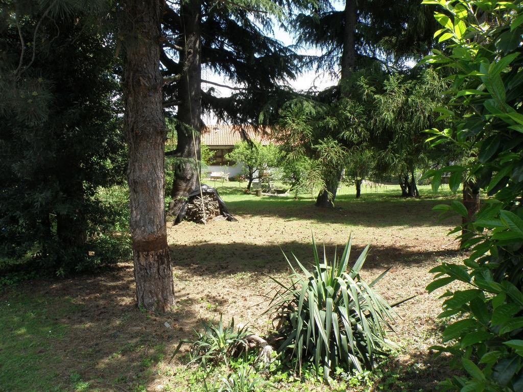 B&B Villa Mirella Casnate Con Bernate Εξωτερικό φωτογραφία