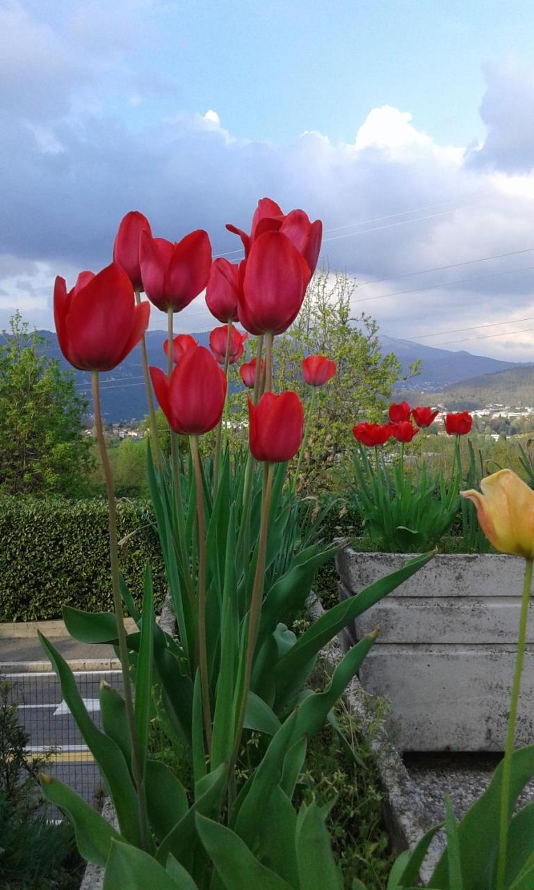 B&B Villa Mirella Casnate Con Bernate Εξωτερικό φωτογραφία