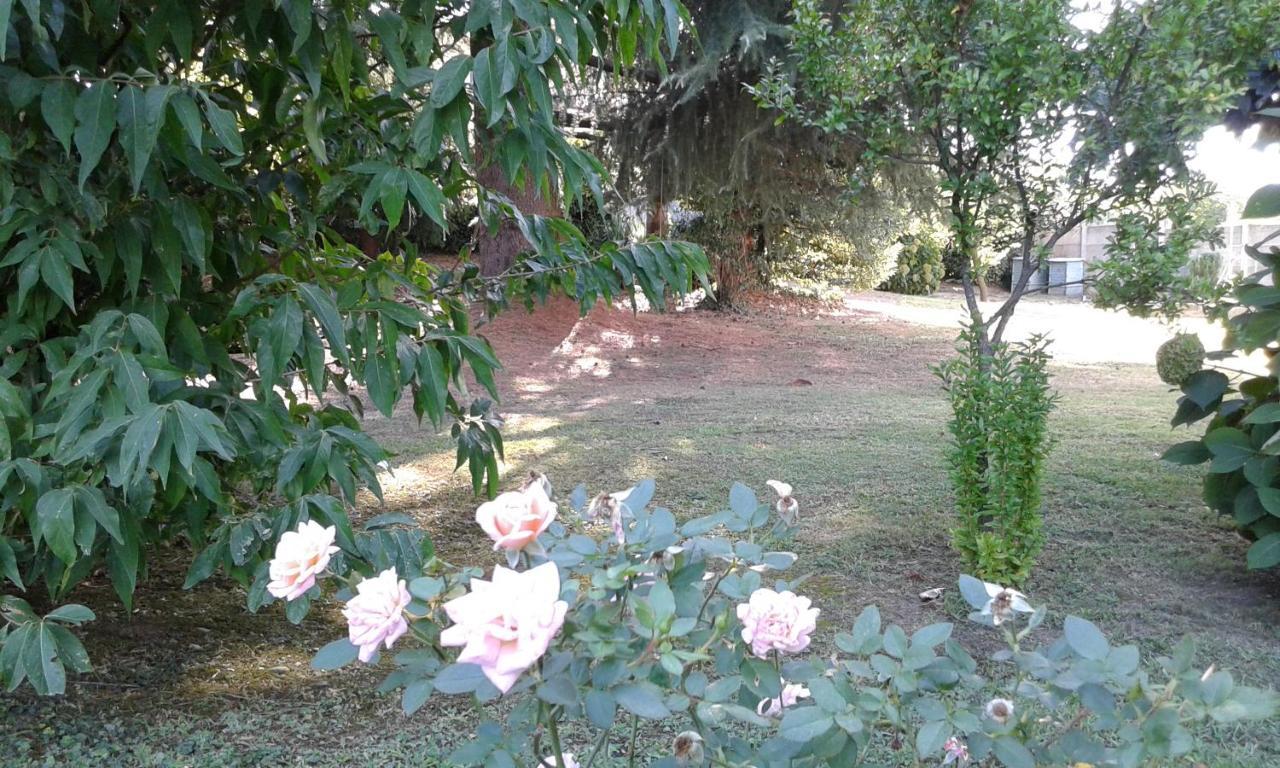 B&B Villa Mirella Casnate Con Bernate Εξωτερικό φωτογραφία